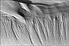 microplage3.jpg