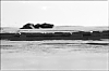 microplage4.jpg