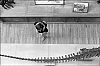 museum-20.jpg