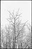 neige-fenetre-1.jpg