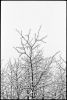 neige-fenetre-2.jpg