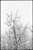 neige-fenetre-3.jpg