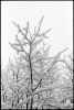 neige-fenetre-4.jpg
