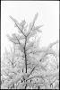 neige-fenetre-6.jpg