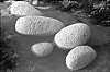 normandie-2-11.jpg