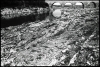 pdgard-04.jpg