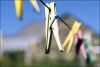 pinces-a-linge2.jpg