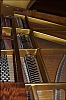 pleyel-07.jpg