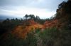 roussillon_01.jpg
