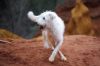 roussillon_08.jpg