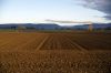 route2903-05.jpg