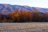 route2903-06.jpg