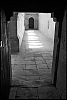 senanque-2-27.jpg