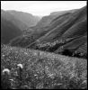 terrasses-de-ventelon-01.jpg