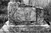 toussaint-04.jpg