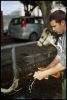 val-vaches-03.jpg