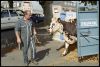 val-vaches-06.jpg