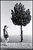 ventoux-arbres-08.jpg
