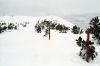 ventoux0210-01.jpg