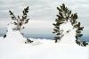 ventoux0210-02.jpg