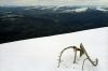 ventoux0210-03.jpg