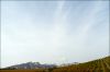 vigne-montmirail-1.jpg