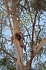 L1002206.jpg