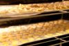 L1004040.jpg