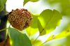 L1021825-Modifier.jpg
