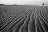 desertblanc-1-1.jpg