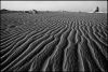 desertblanc-1-2.jpg