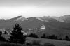 0208-Tarendol-111-nb.jpg