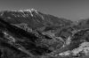 0208-Tarendol-200-nb.jpg