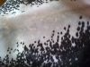 0209_Salon_agriculture_13.jpg