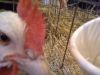 0209_Salon_agriculture_32.jpg