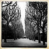 0312_Paris_iPhone_07_nb_600.jpg