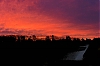 0313_Chronique_01-2-800.jpg
