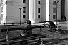 0313_Paris_035_nb_800.jpg