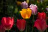 0409_Pierrefitte_005.jpg