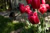0409_Pierrefitte_014.jpg