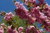 0409_Pierrefitte_041.jpg