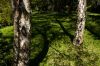 0409_Pierrefitte_055.jpg