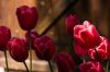 0409_Pierrefitte_092.jpg