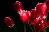 0409_Pierrefitte_106.jpg