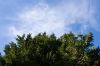 0409_Pierrefitte_125.jpg