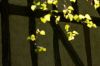 0409_Pierrefitte_141.jpg