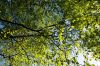 0409_Pierrefitte_148.jpg