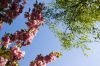 0409_Pierrefitte_152.jpg