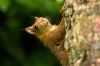 0409_Pierrefitte_158.jpg
