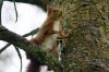 0409_Pierrefitte_164.jpg
